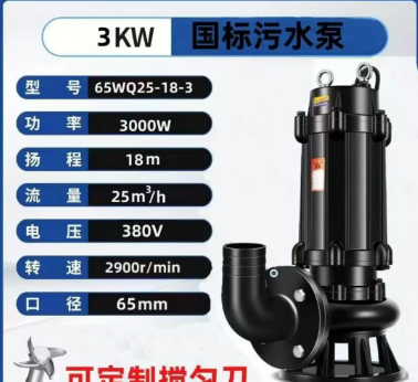 3KW 65口径（全铜电机）380V 污水泵