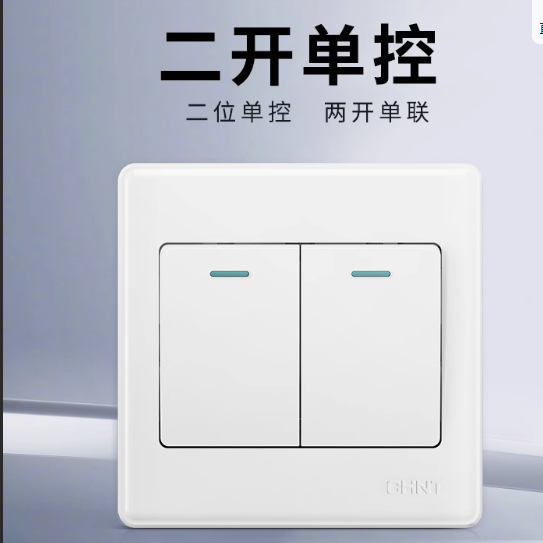 正泰开关 双开单控 
